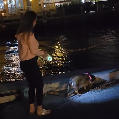 LumiLeash™ – Illuminated Dog Leash